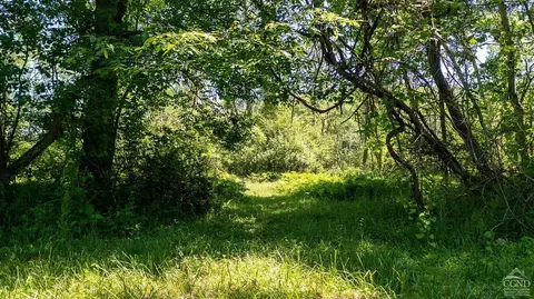 2340 County Route 7, Copake, NY 12516 photo 8