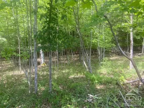 0 Hayden Rd, Windham, NY 12496 photo 20
