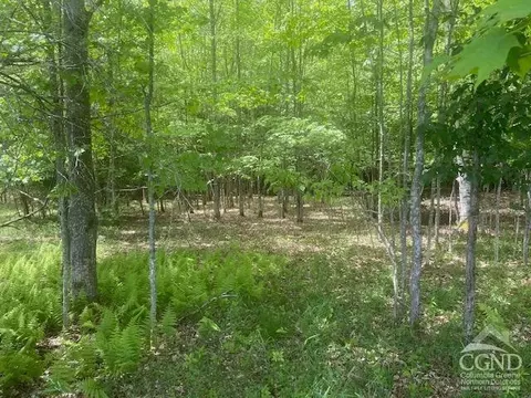 0 Hayden Rd, Windham, NY 12496 photo 21