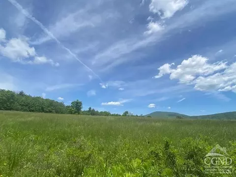 0 Hayden Rd, Windham, NY 12496 photo 7