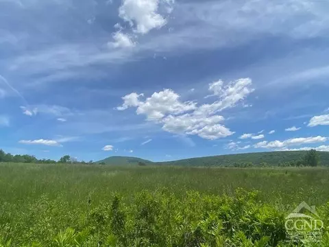 0 Hayden Rd, Windham, NY 12496 photo 6
