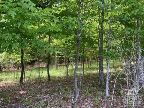 0 Hayden Rd, Windham, NY 12496 photo 16