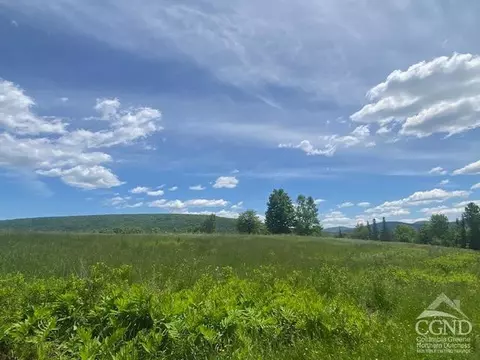 0 Hayden Rd, Windham, NY 12496 photo 8