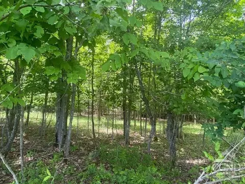 0 Hayden Rd, Windham, NY 12496 photo 18