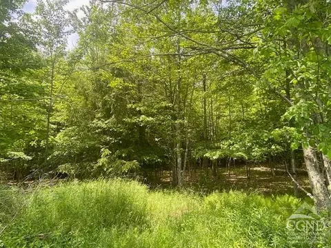 0 Hayden Rd, Windham, NY 12496 photo 22