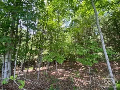 0 Hayden Rd, Windham, NY 12496 photo 19