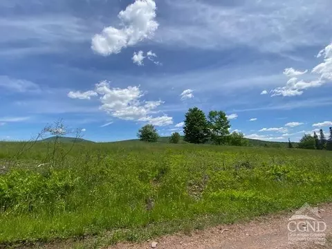 0 Hayden Rd, Windham, NY 12496 photo 5
