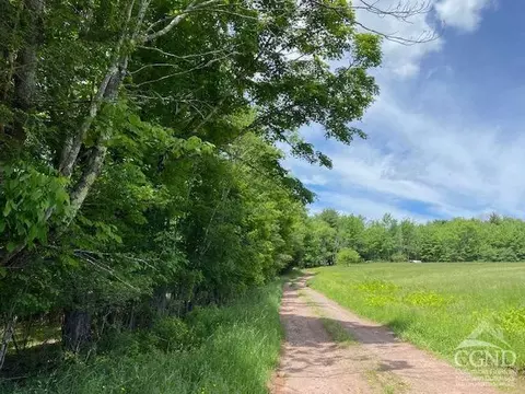 0 Hayden Rd, Windham, NY 12496 photo 23