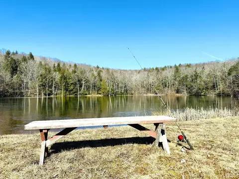 369 Ford Hill Rd, Hunter, NY 12442 photo 19
