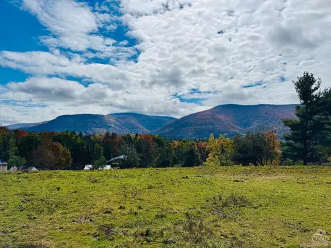 369 Ford Hill Rd, Hunter, NY 12442 photo 4