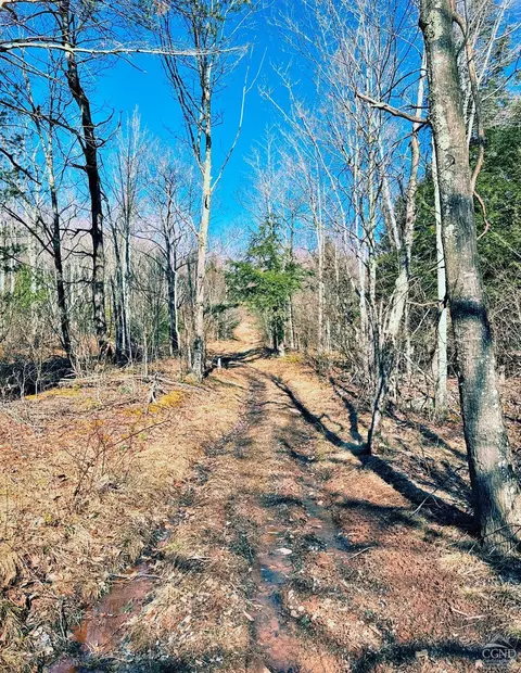 369 Ford Hill Rd, Hunter, NY 12442 photo 25
