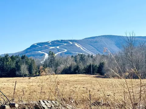 369 Ford Hill Rd, Hunter, NY 12442 photo 8