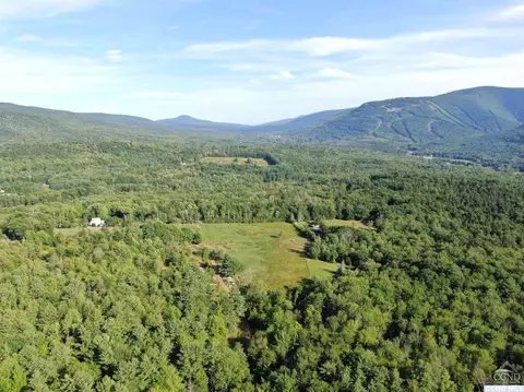 369 Ford Hill Rd, Hunter, NY 12442 photo 14