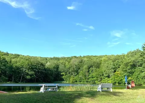369 Ford Hill Rd, Hunter, NY 12442 photo 22