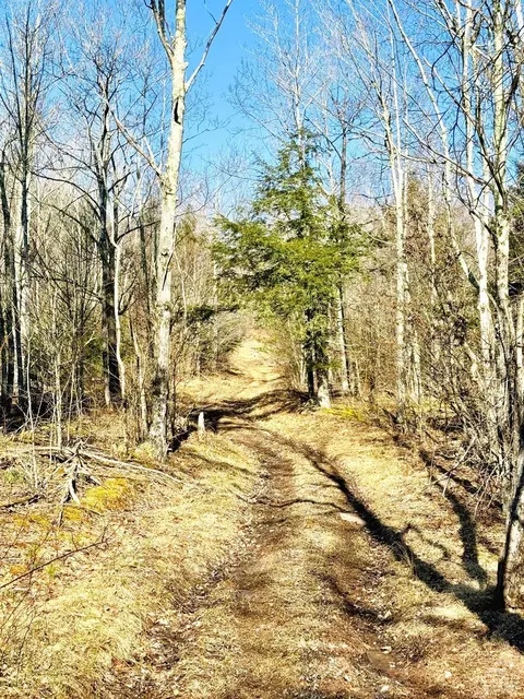 369 Ford Hill Rd, Hunter, NY 12442 photo 18