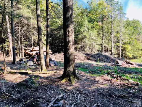 0 Off Begley Rd, Windham, NY 12496 photo 7