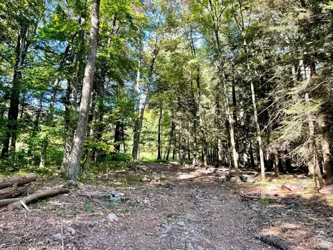 0 Off Begley Rd, Windham, NY 12496 photo 6