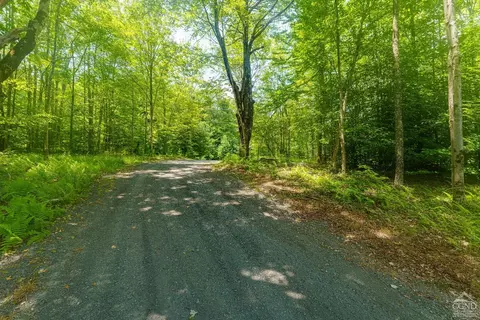 151 Carr, Hunter, NY 12442 photo 12