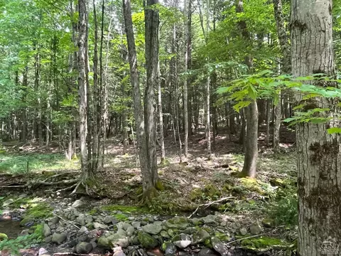151 Carr, Hunter, NY 12442 photo 8