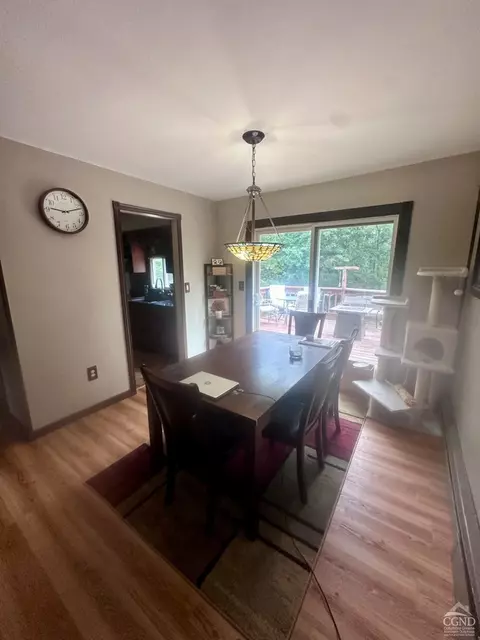 16 Elm St, Cairo, NY 12413 photo 4