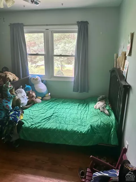 16 Elm St, Cairo, NY 12413 photo 7