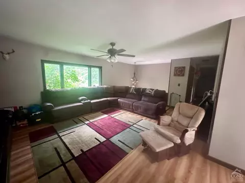 16 Elm St, Cairo, NY 12413 photo 3