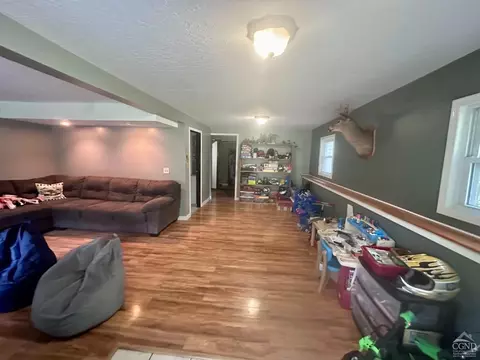 16 Elm St, Cairo, NY 12413 photo 10