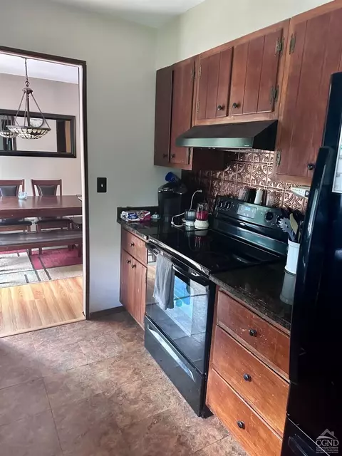 16 Elm St, Cairo, NY 12413 photo 6