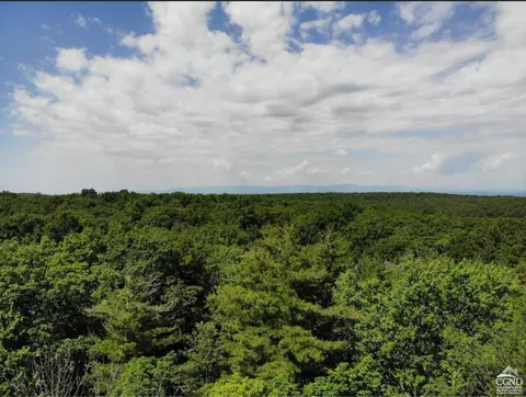 0 Shale Mtn, Austerlitz, NY 12017 photo 4
