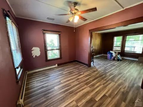 163 Spring St, Catskill, NY 12414 photo 9