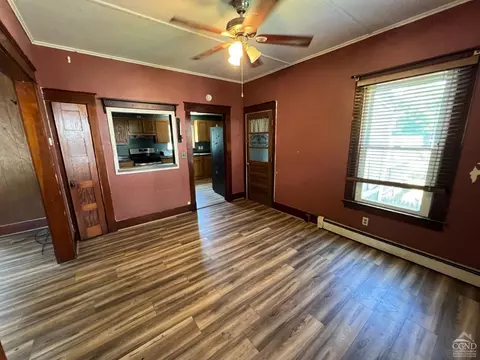 163 Spring St, Catskill, NY 12414 photo 10