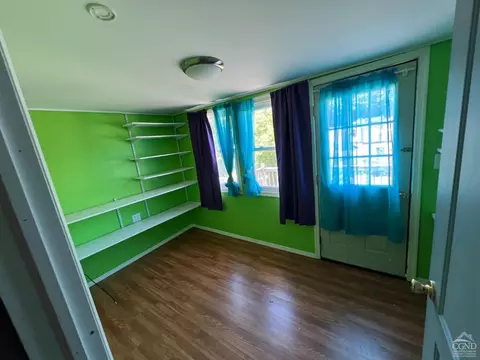 163 Spring St, Catskill, NY 12414 photo 30