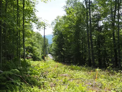 0 Scribner Hollow Rd, Hunter, NY 12442 photo 4