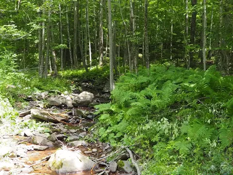 0 Scribner Hollow Rd, Hunter, NY 12442 photo 7