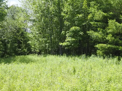 0 Scribner Hollow Rd, Hunter, NY 12442 photo 16