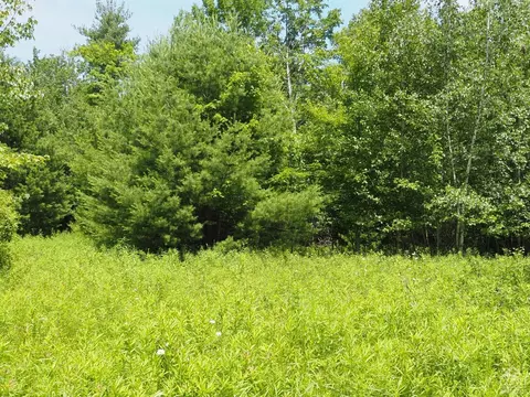 0 Scribner Hollow Rd, Hunter, NY 12442 photo 14