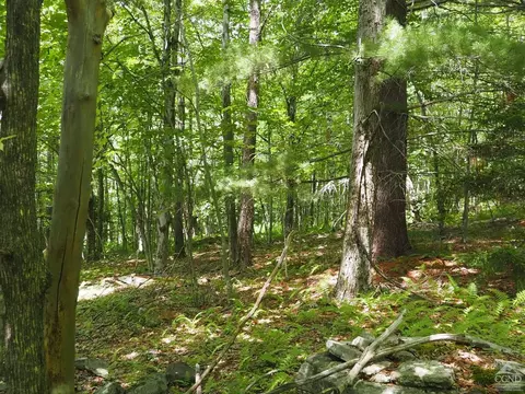 0 Scribner Hollow Rd, Hunter, NY 12442 photo 11