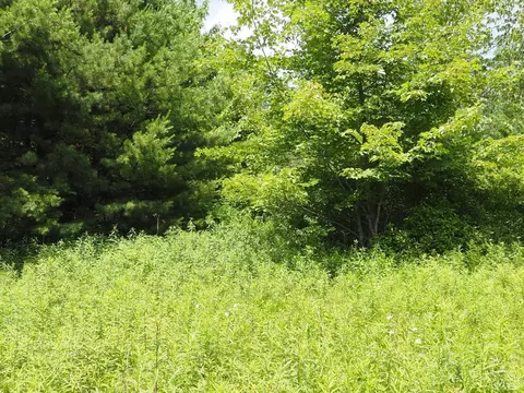 0 Scribner Hollow Rd, Hunter, NY 12442 photo 15