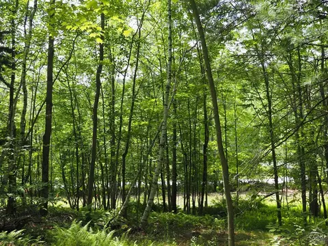 0 Scribner Hollow Rd, Hunter, NY 12442 photo 9