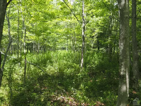 0 Scribner Hollow Rd, Hunter, NY 12442 photo 17