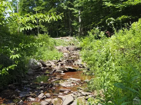 0 Scribner Hollow Rd, Hunter, NY 12442 photo 5