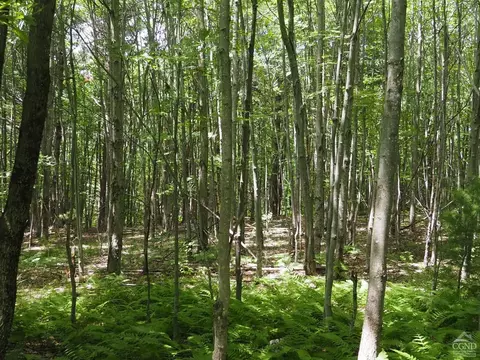 0 Scribner Hollow Rd, Hunter, NY 12442 photo 19