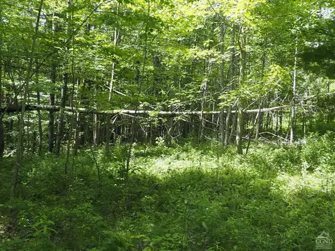 0 Scribner Hollow Rd, Hunter, NY 12442 photo 18