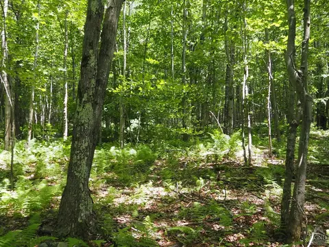 0 Scribner Hollow Rd, Hunter, NY 12442 photo 10