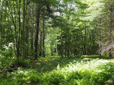 0 Scribner Hollow Rd, Hunter, NY 12442 photo 22