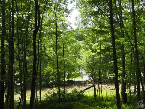 0 Scribner Hollow Rd, Hunter, NY 12442 photo 8