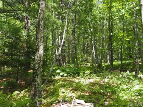 0 Scribner Hollow Rd, Hunter, NY 12442 photo 12