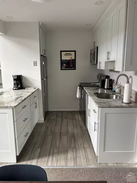115 Windham Ridge Rd #19F, Windham, NY 12496 photo 7