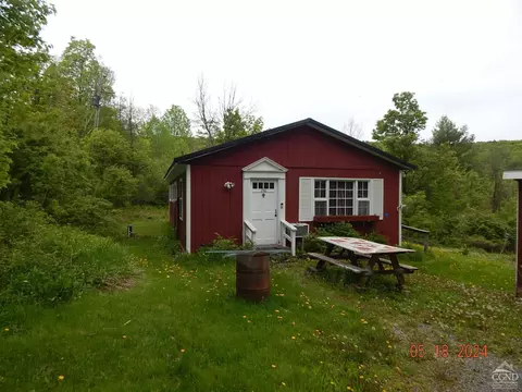 136 Schuessler, Conesville, NY 12469