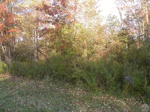 0 Route 23, Copake, NY 12521 photo 3